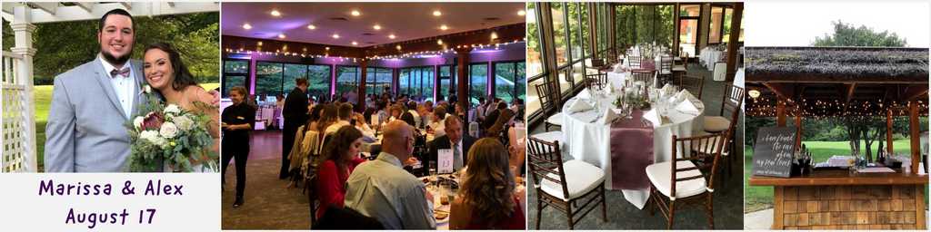 Wedding reception and outdoor ceremony in ann arbor