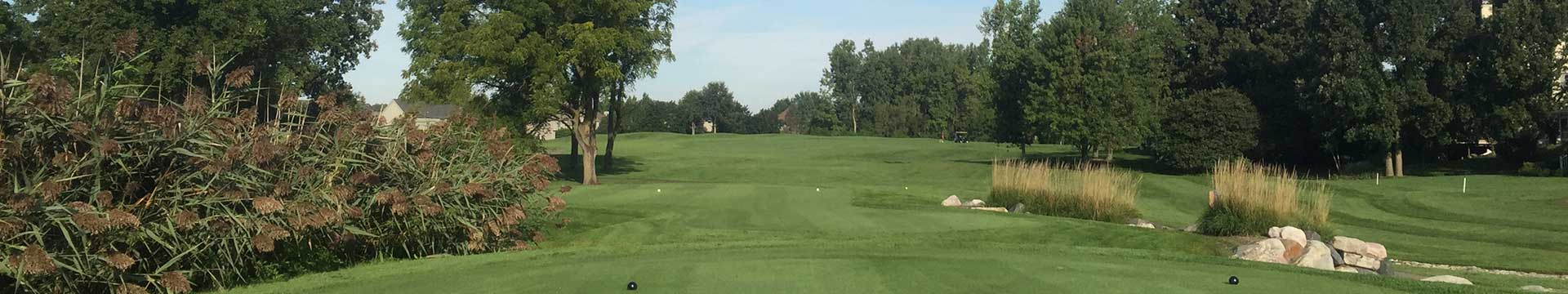 golf course near Detroit first tee
