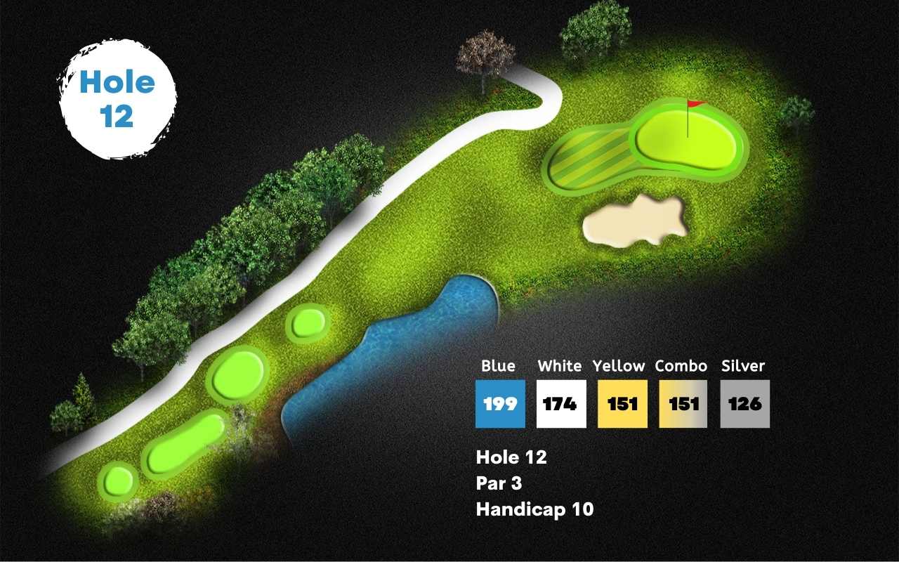 Stonebridge golf course in ann arbor hole 12 layout