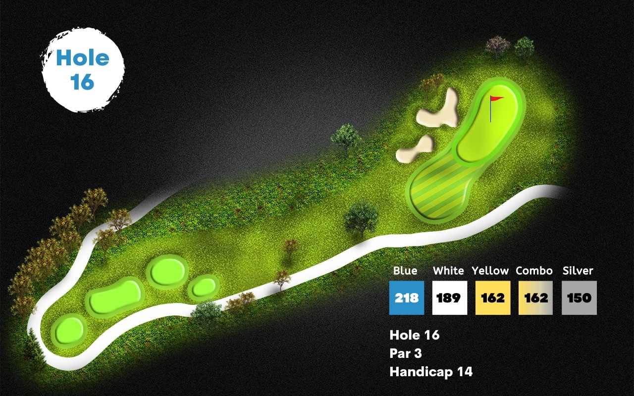 Stonebridge golf course in ann arbor hole 16 layout
